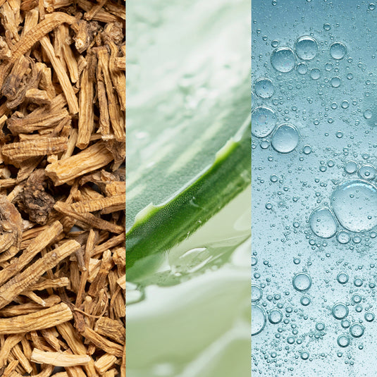 Collage of three different textures: dried herbs, aloe vera, and water droplets.