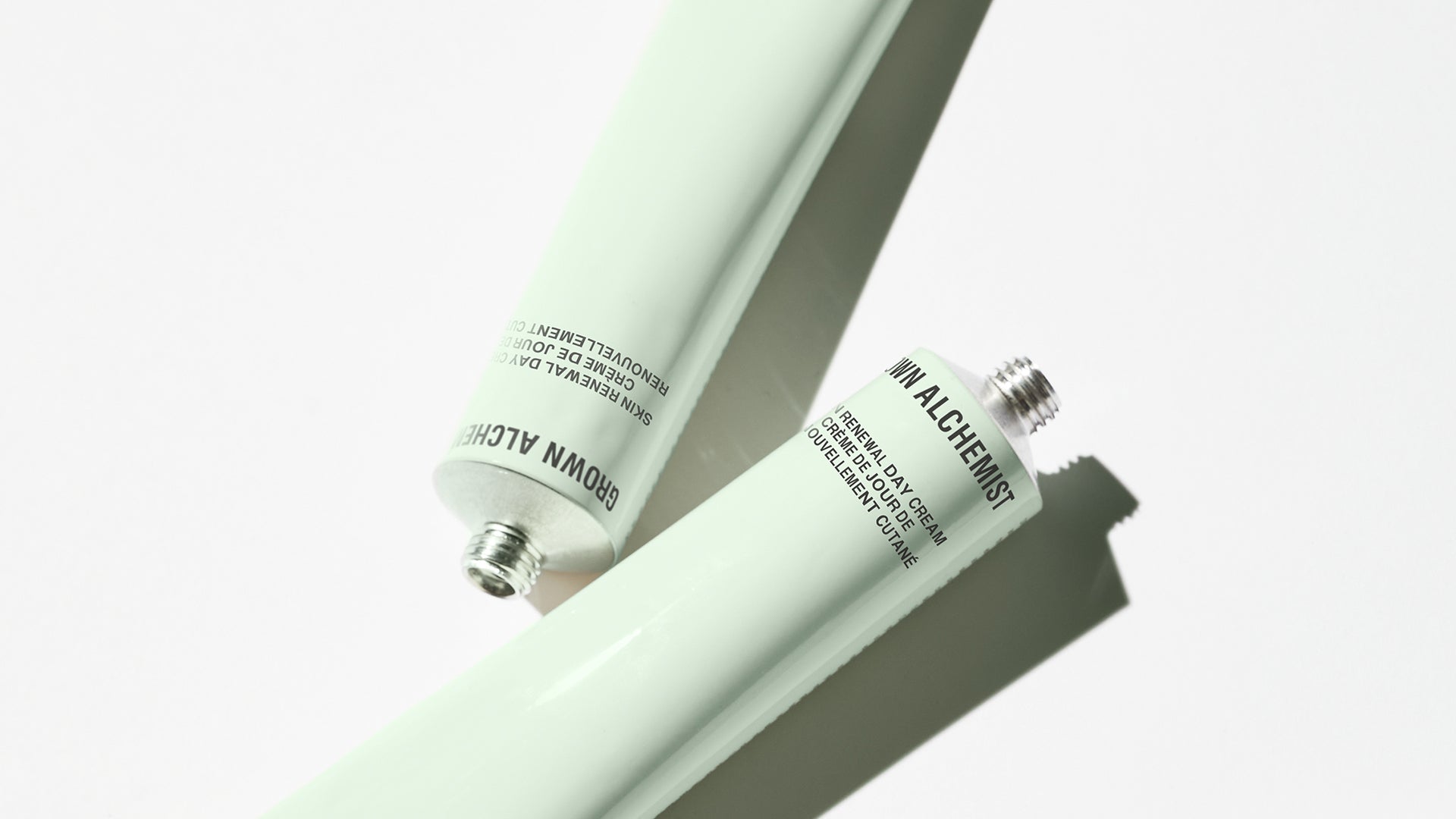 Skin Renewal Day Cream (65mL)