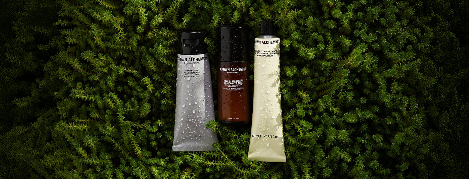 Father's Day Gifting