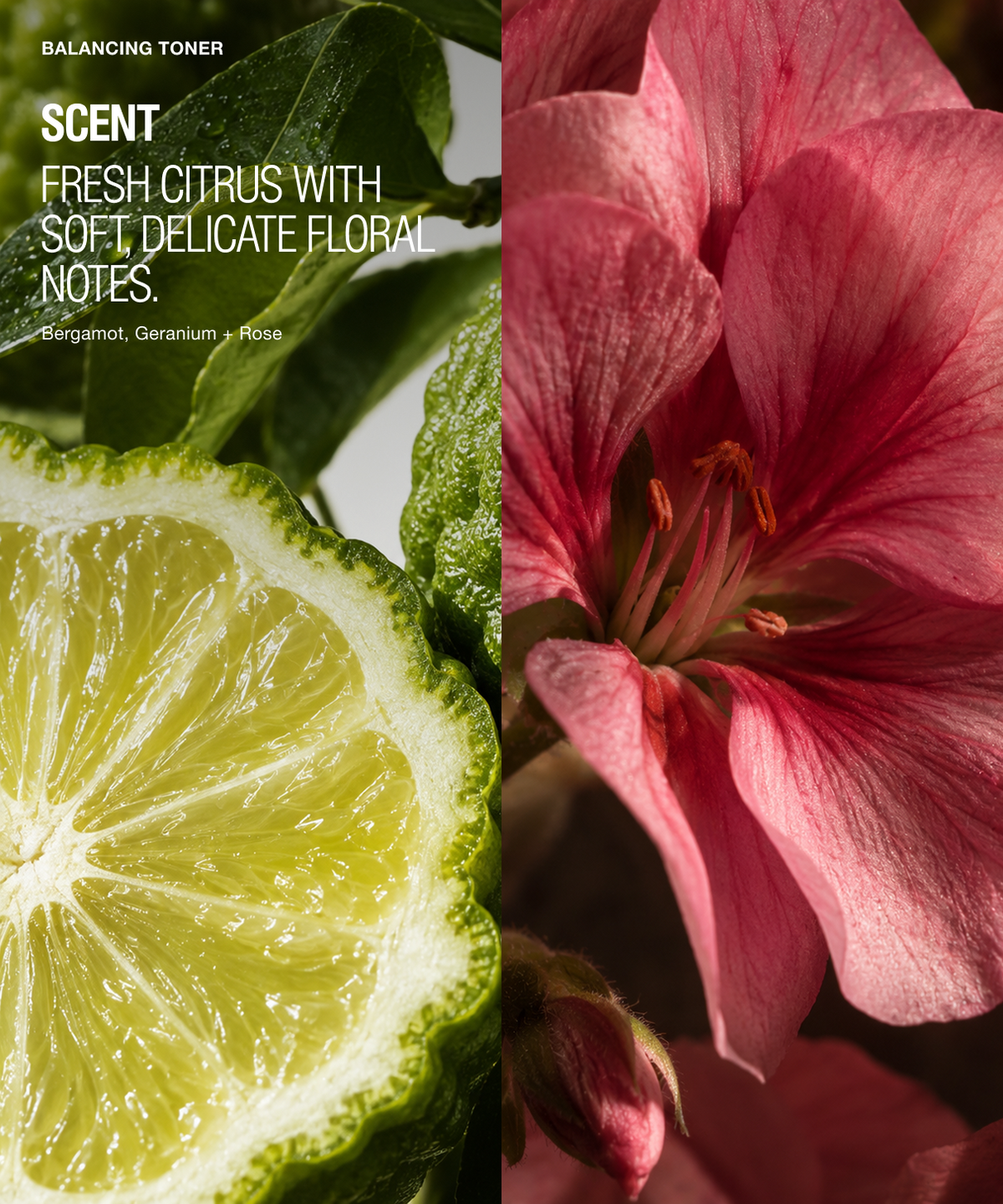 Balancing Toner featuring a refreshing fragrance of fresh citrus and floral notes for your daily skincare routine.