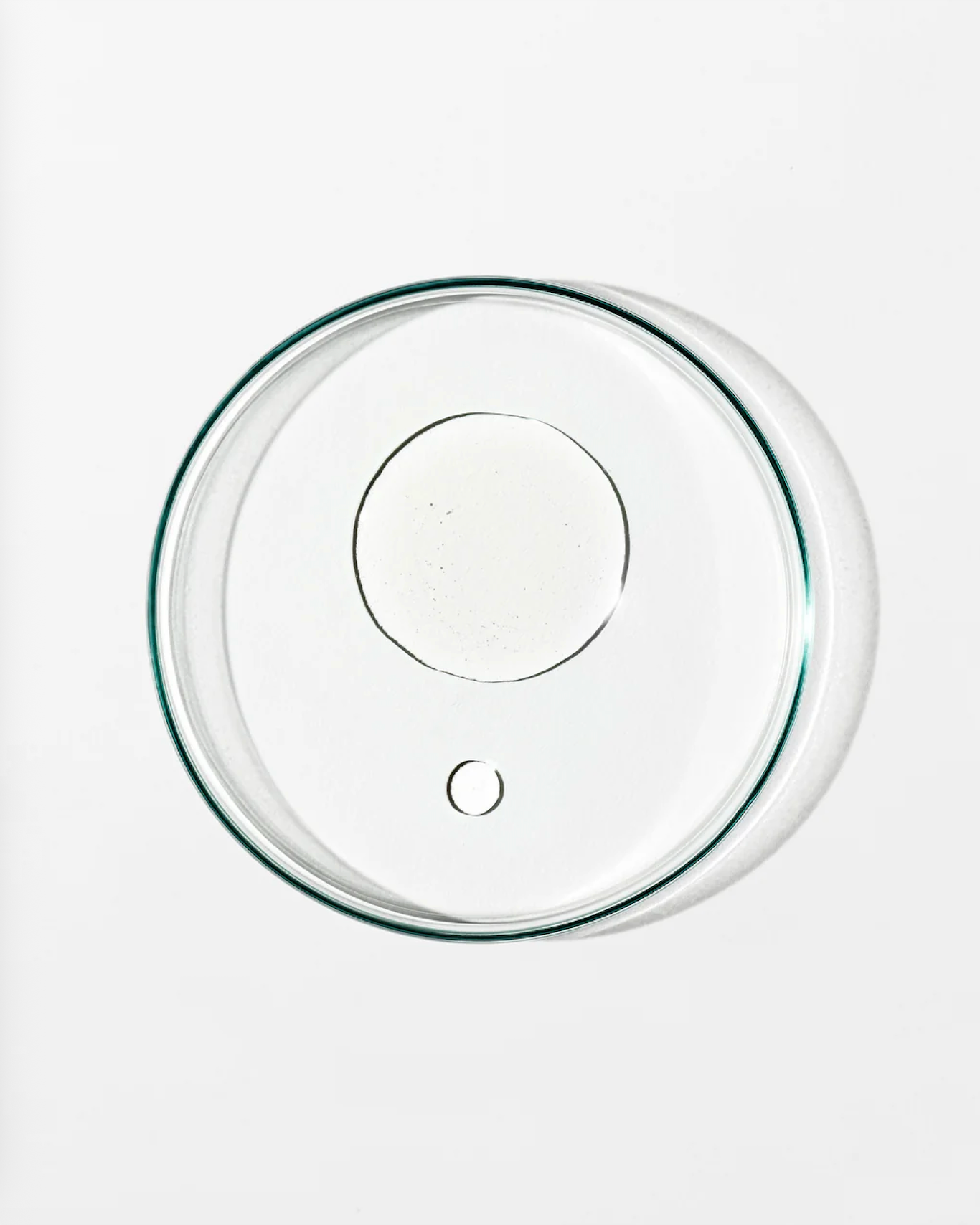 Clear dish with 2 circles of clear liquid against a white background