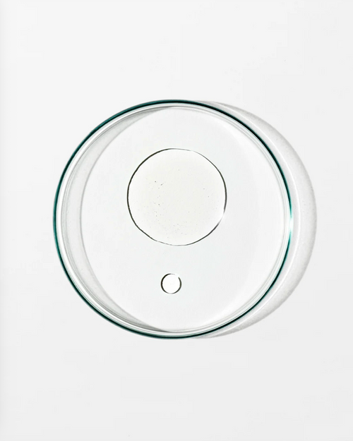 Clear dish with 2 circles of clear liquid against a white background