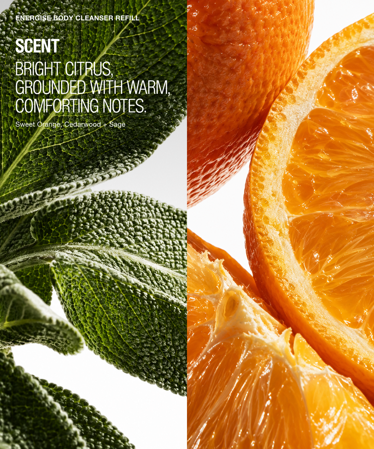 Scent label artwork for a facial cleanser refill, split vertically: the left half shows green sage leaves with text reading 'BRIGHT CITRUS, GROUNDED WITH WARM, COMFORTING NOTES' and 'Sweet Orange, Ciderwood + Sage.' The right half shows close-up orange slices on a white background.