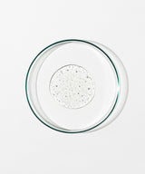 A clear glass petri dish viewed from above, containing a small circular pool of energize body cleanser on a plain white background.