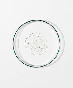 A clear glass petri dish viewed from above, containing a small circular pool of energize body cleanser on a plain white background.