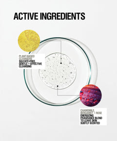 An infographic titled 'ACTIVE INGREDIENTS' on a light gray background, showing a clear circular dish with a white foaming cleanser in the center and two colored ingredient callouts with text labels: a yellow circle labeled plant-based cleansing and a pink-purple circle labeled chamomile, bergamot, and rose energizing fragrance blend.