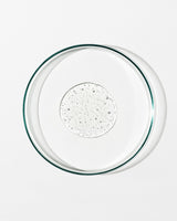 Clear glass pie dish with speckled pattern on a white background