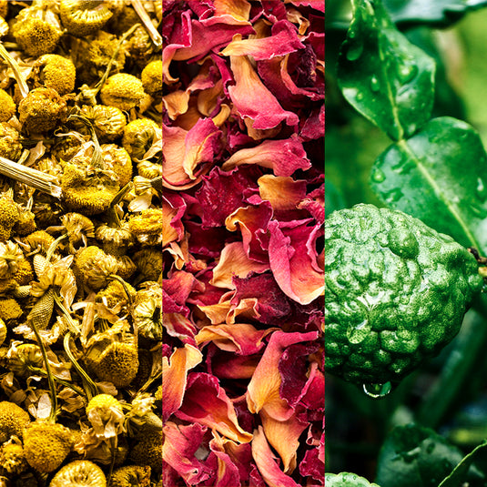 Three different natural elements: dried yellow flowers, pink and orange petals, and a green leaf with water droplets.