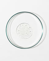 Clear glass pie dish with clear liquid on a white background