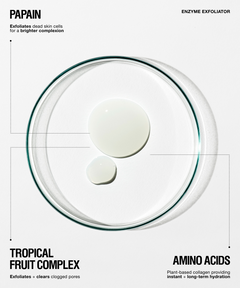 A clean cosmetic ingredient graphic on a light gray background. A clear petri dish contains two white liquid droplets, with text labels reading PAPAIN, TROPICAL FRUIT COMPLEX, AMINO ACIDS, and ENZYME EXFOLIATOR arranged around the dish.