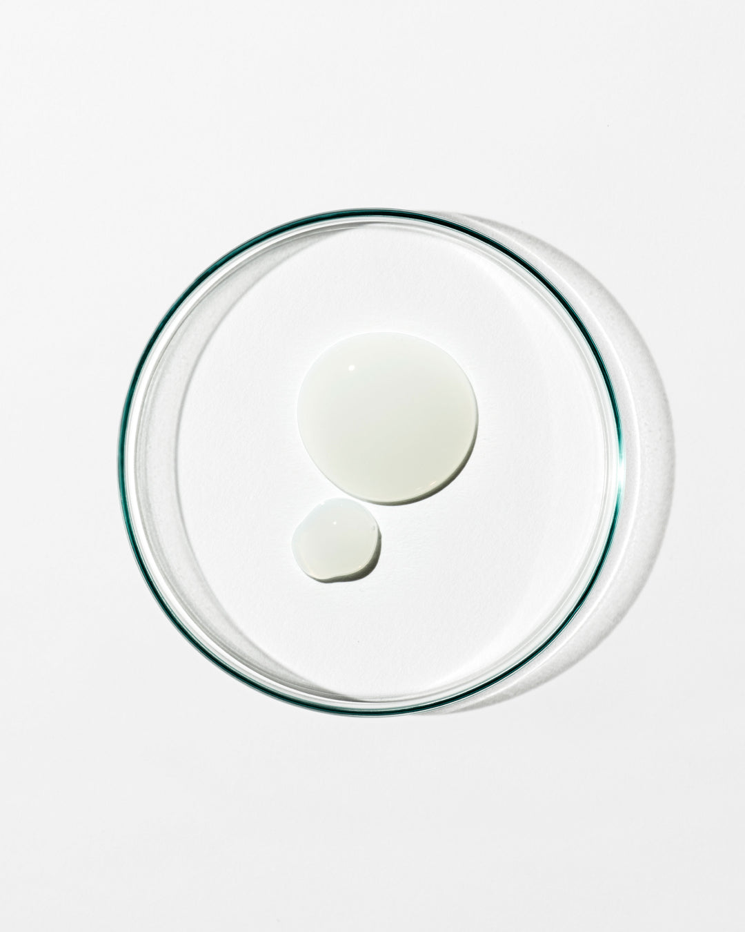 Clear glass lid with two white circular objects on a white background