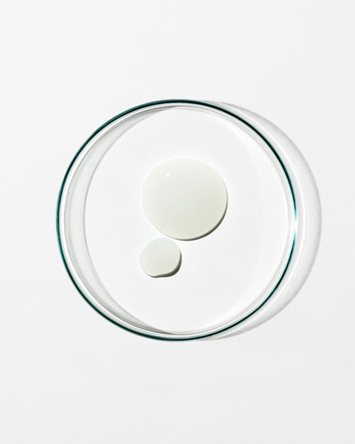 Clear glass lid with two white circular objects on a white background