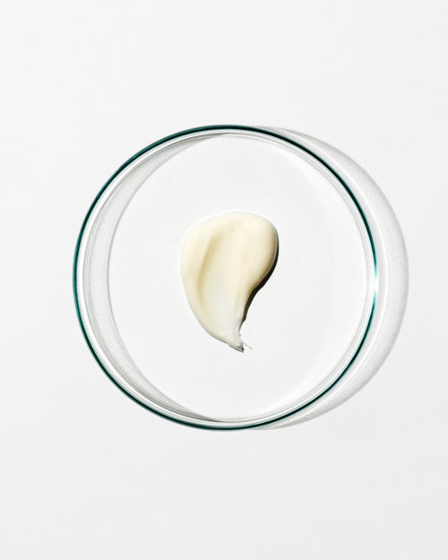 Regenerating Night Cream (40mL)