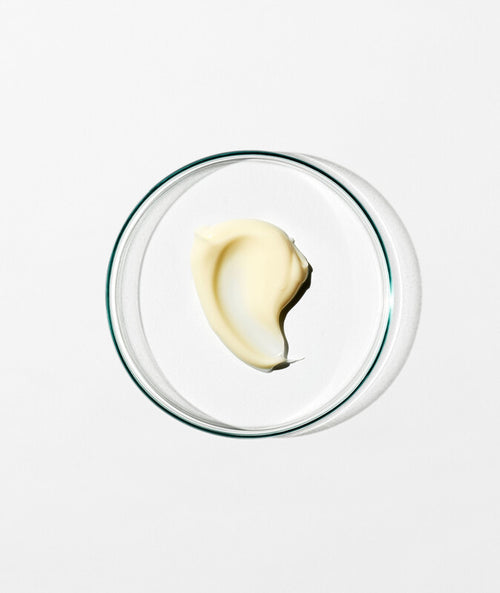 [Refill] Body Cream: Mandarin, Rosemary Leaf (1L)