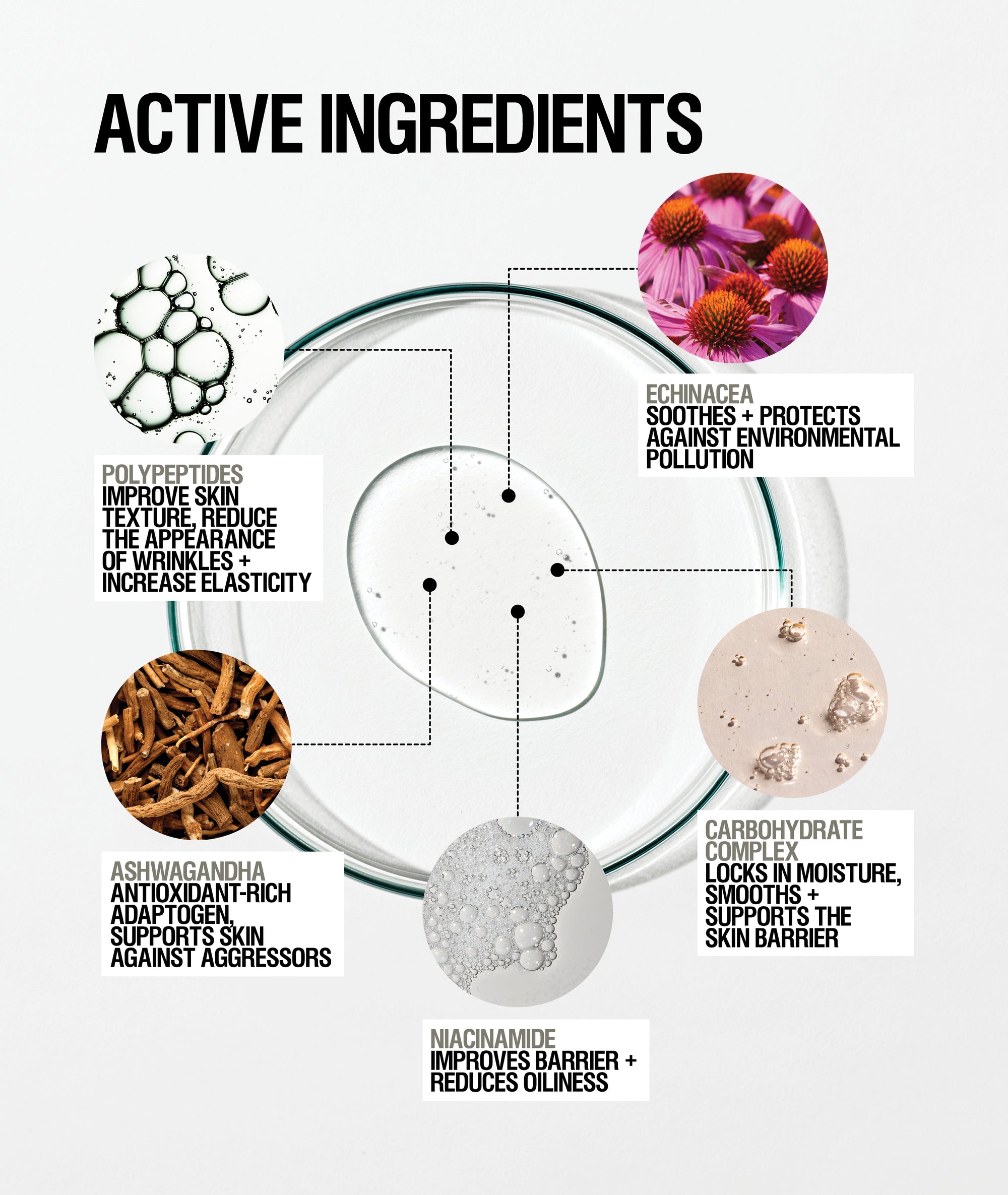 Skin Renewal Serum + Oil Bundle