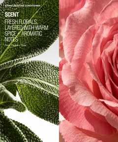 A split-design product graphic for Kyara Restore Conditioner. The left half shows green textured leaves with white text reading 'HYAORA RESTORE CONDITIONER' and 'SCENT FRESH FLORALS, LAYERED WITH WARM SPICE + AROMATIC NOTES'.