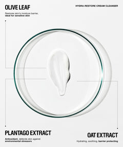 Clean skincare infographic on a light gray background showing a clear circular petri dish with a white cream smear in the center. Text reads 'OLIVE LEAF' and 'HYDRA-RESTORE CREAM CLEANSER' at the top, with 'PLANTAGO EXTRACT' and 'OAT EXTRACT' at the bottom and callout lines pointing to the dish.