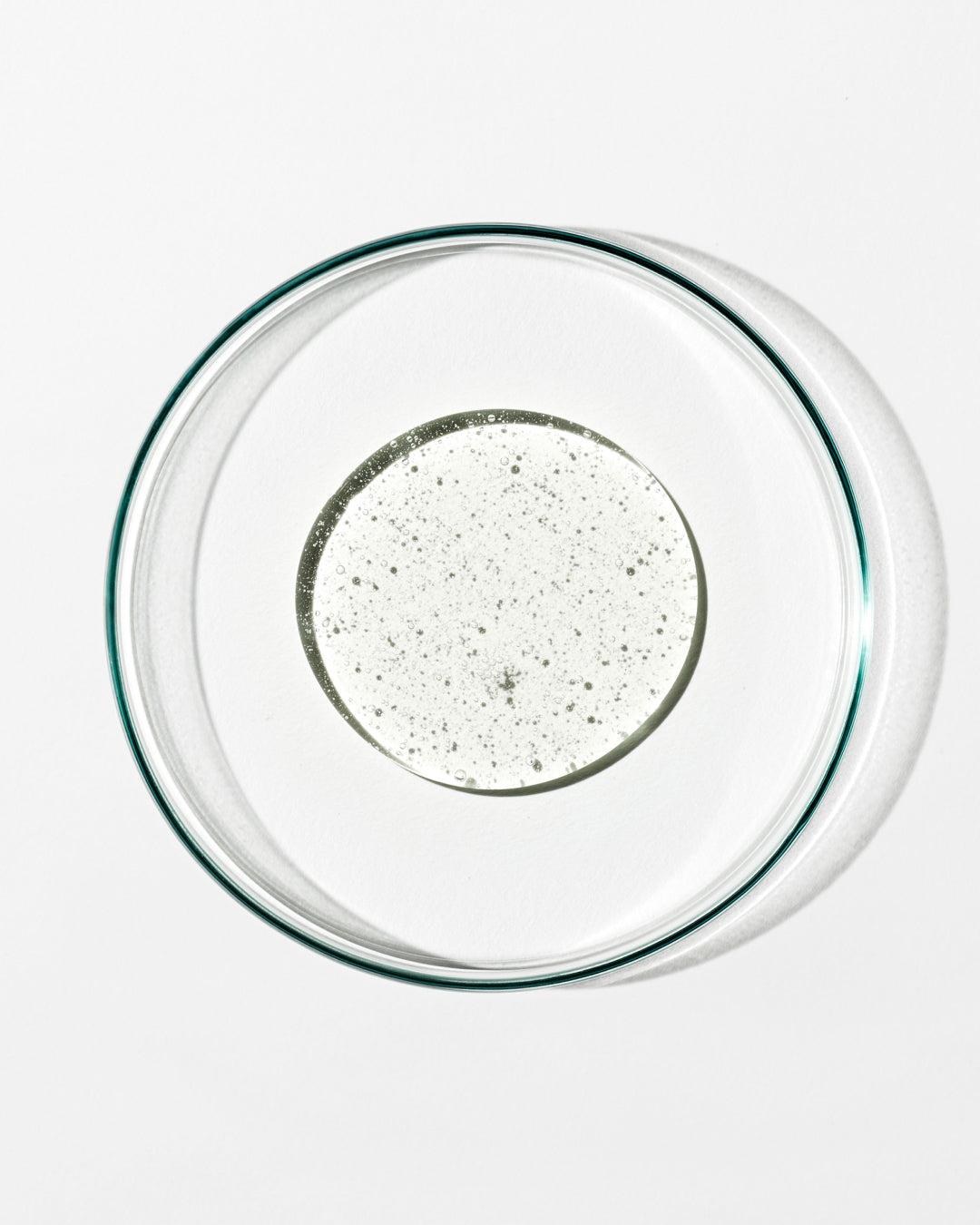 Clear glass plate with a circular pattern on a white background