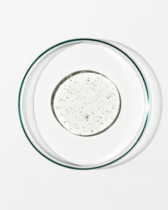 Clear glass plate with a circular pattern on a white background