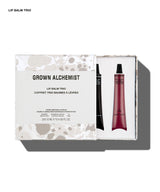 Lip Balm Trio Holiday Gift Kit