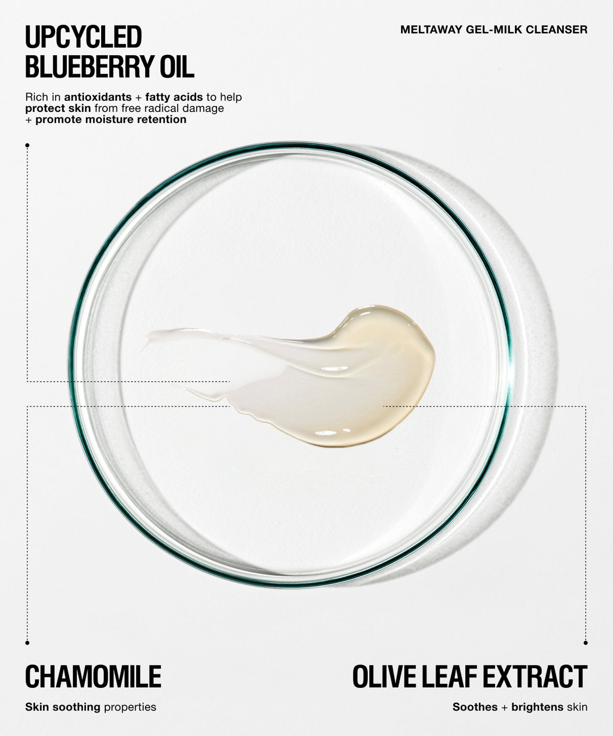 A clean, minimalist product graphic for Upcycled Blueberry Oil Meltdown Gel-Milk Cleanser. The design features a clear circular petri-dish mockup containing a swirl of pale blue-green gel, with text highlighting key ingredients: Chamomile and Olive Leaf Extract.