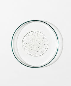 Revive Body Cleanser - 500ml