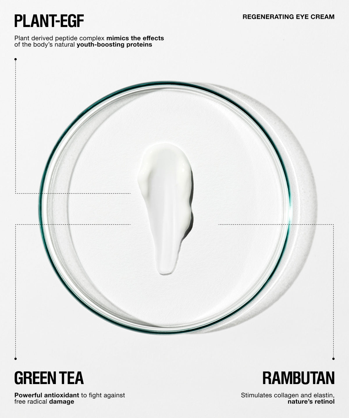 Regenerating eye cream in a clear circular pot with a white cream swirl in the center, labeled with Plant-EGF, Green Tea, and Rambutan on a light gray background.