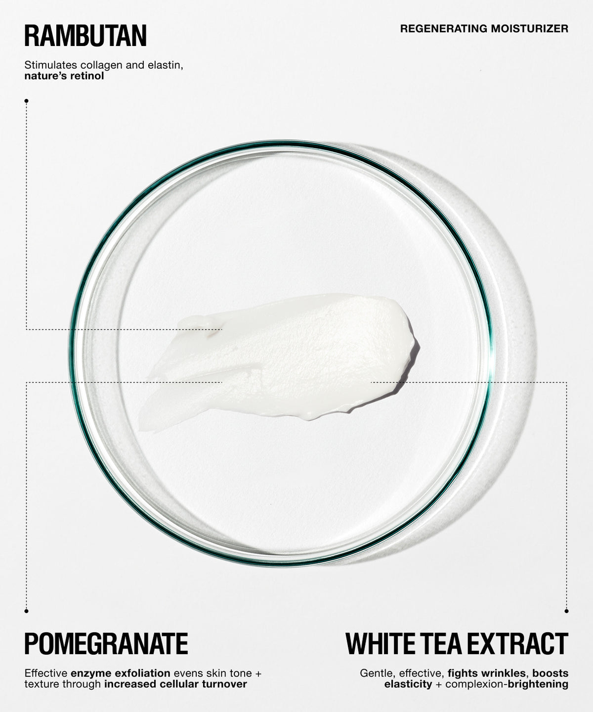 A white cream product shown inside a clear circular petri dish on a light gray background, with text labels reading RAMBUTAN and WHITE TEA EXTRACT and smaller descriptive copy about regenerating moisturizer and pomegranate and white tea extract benefits.