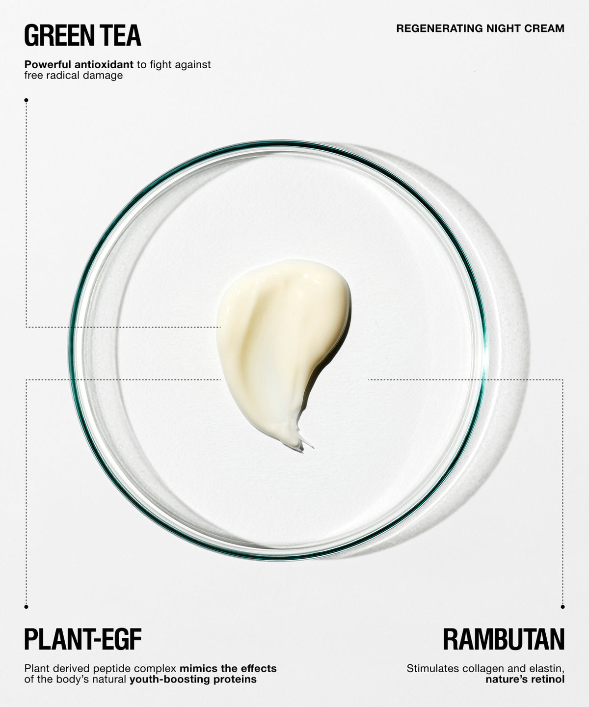 A cosmetic product infographic for Regenerating Night Cream. The center features a clear petri dish containing a dollop of thick, creamy off-white lotion.