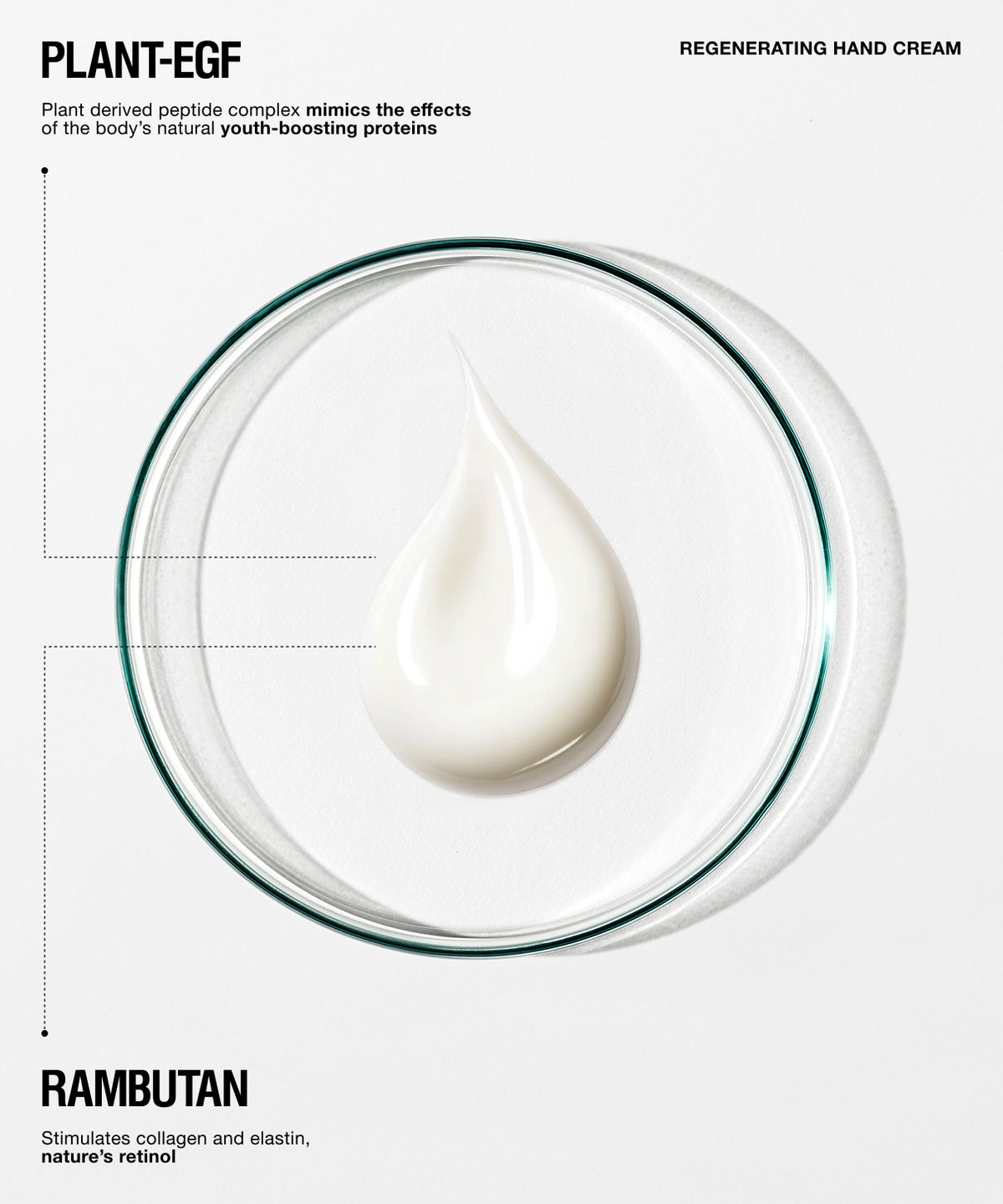 A clean cosmetic infographic on a light gray background featuring a white cream droplet inside a clear circular dish. Text reads "PLANT-EGF" at top left, "REGENERATING HAND CREAM" at top right, and "RAMBUTAN" at bottom left with descriptive copy.