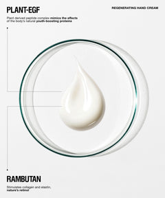 A clean cosmetic infographic on a light gray background featuring a white cream droplet inside a clear circular dish. Text reads "PLANT-EGF" at top left, "REGENERATING HAND CREAM" at top right, and "RAMBUTAN" at bottom left with descriptive copy.