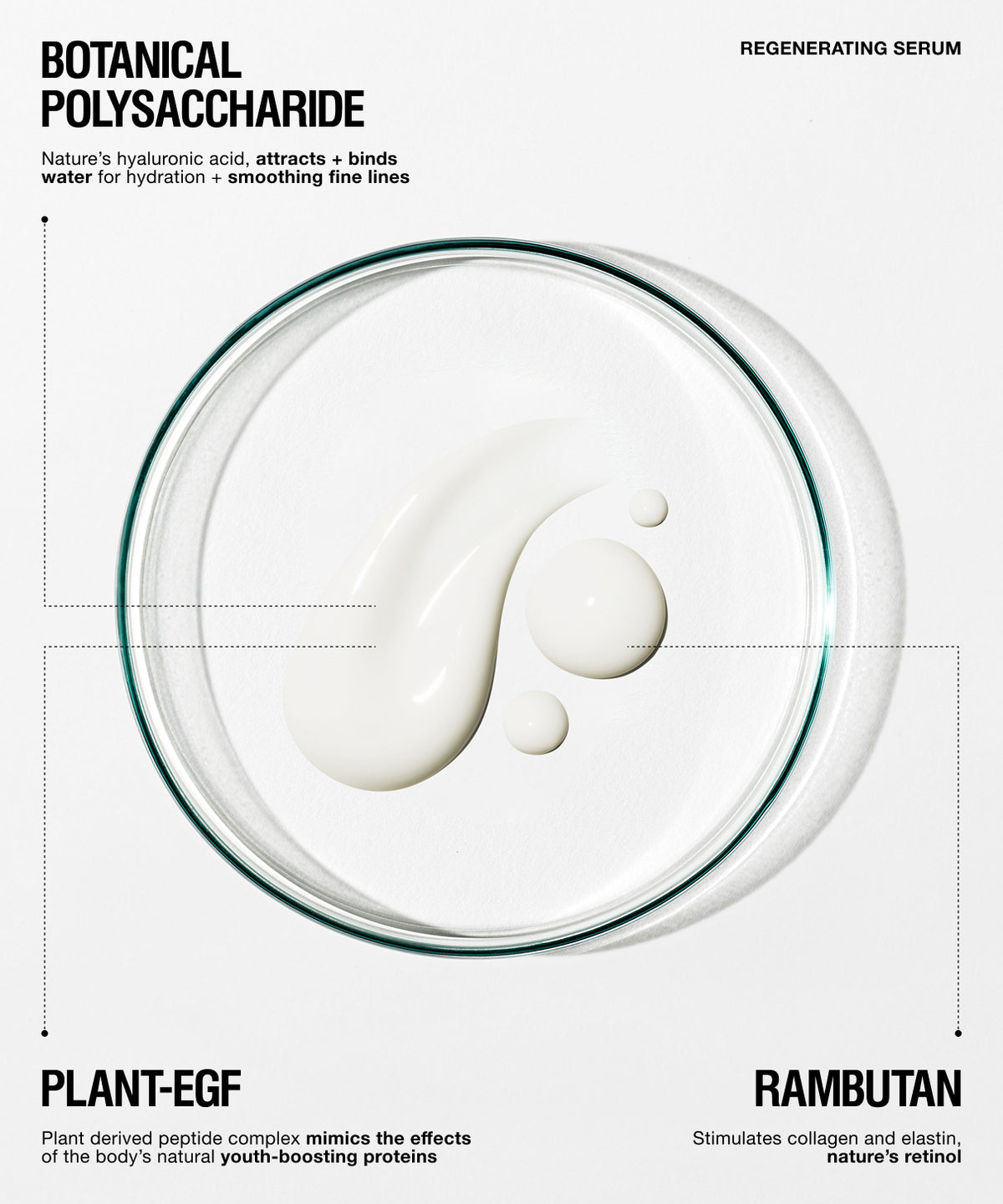 A clean infographic-style product image for a regenerating serum. A clear petri dish or round glass vessel is centered on a white background, containing a glossy white cream or serum swirl.