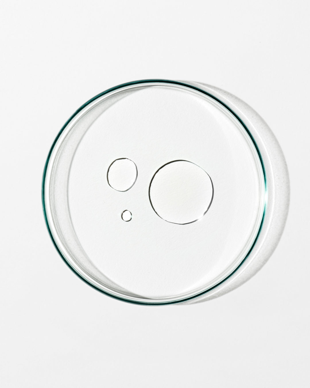Clear glass lid with a green rim on a white background