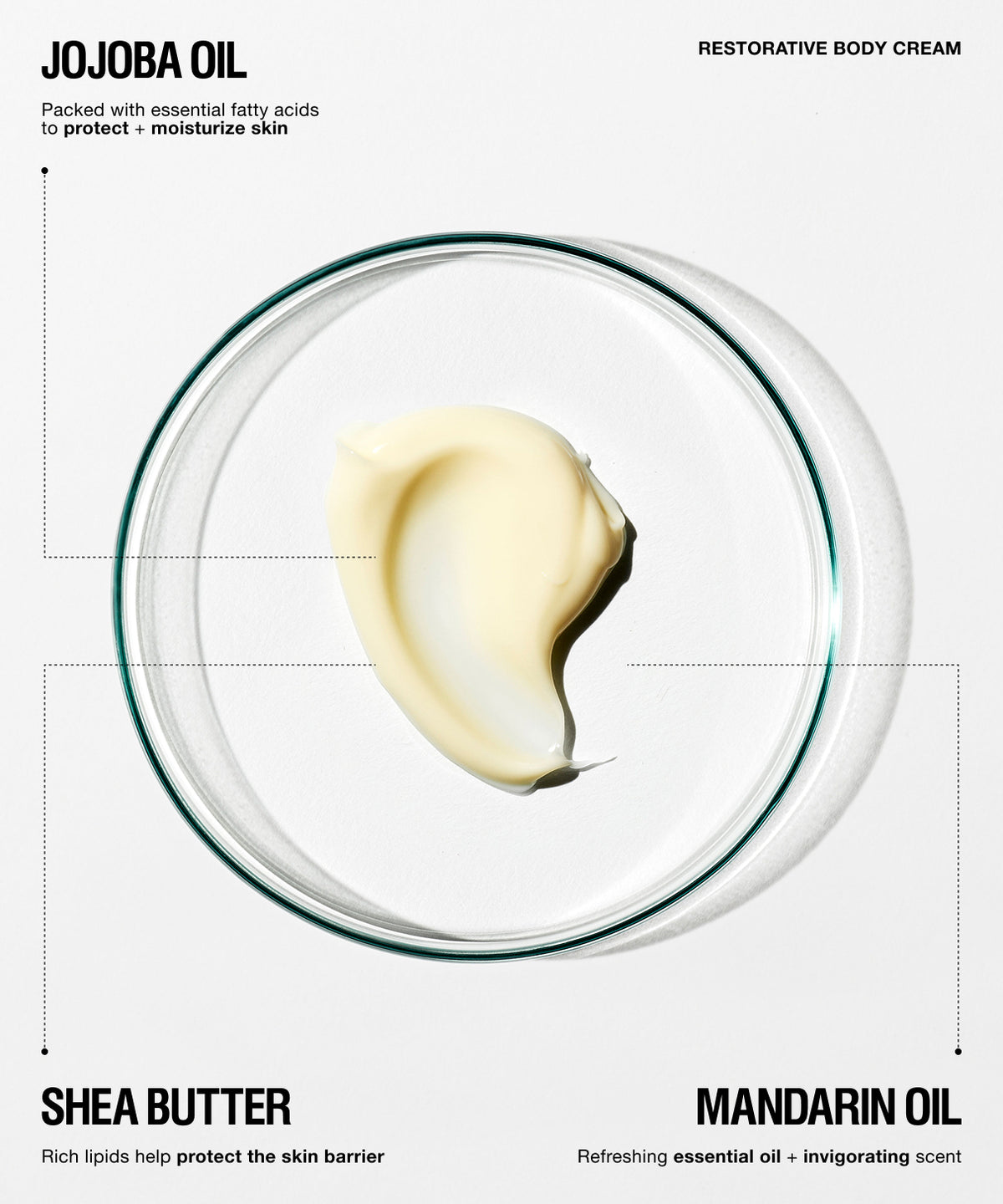 A clean, minimalist product graphic for Jojoba Oil Restorative Body Cream. The design features a central clear glass dish containing a swirl of pale yellow cream, flanked by text labels for 'JOJOBA OIL', 'RESTORATIVE BODY CREAM', 'SHEA BUTTER', and 'MANDARIN OIL' on a solid white background.