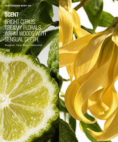 Scented body oil packaging design featuring a split botanical photo: a bright citrus slice on the left and a yellow ylang ylang flower on the right, with text reading 'RESTORATIVE BODY OIL' and 'SCENT: BRIGHT CITRUS, CREAMY FLORALS, WARM WOODS WITH SENSUAL DEPTH.' Bergamot, Ylang Ylang + Cedarwood are listed below.