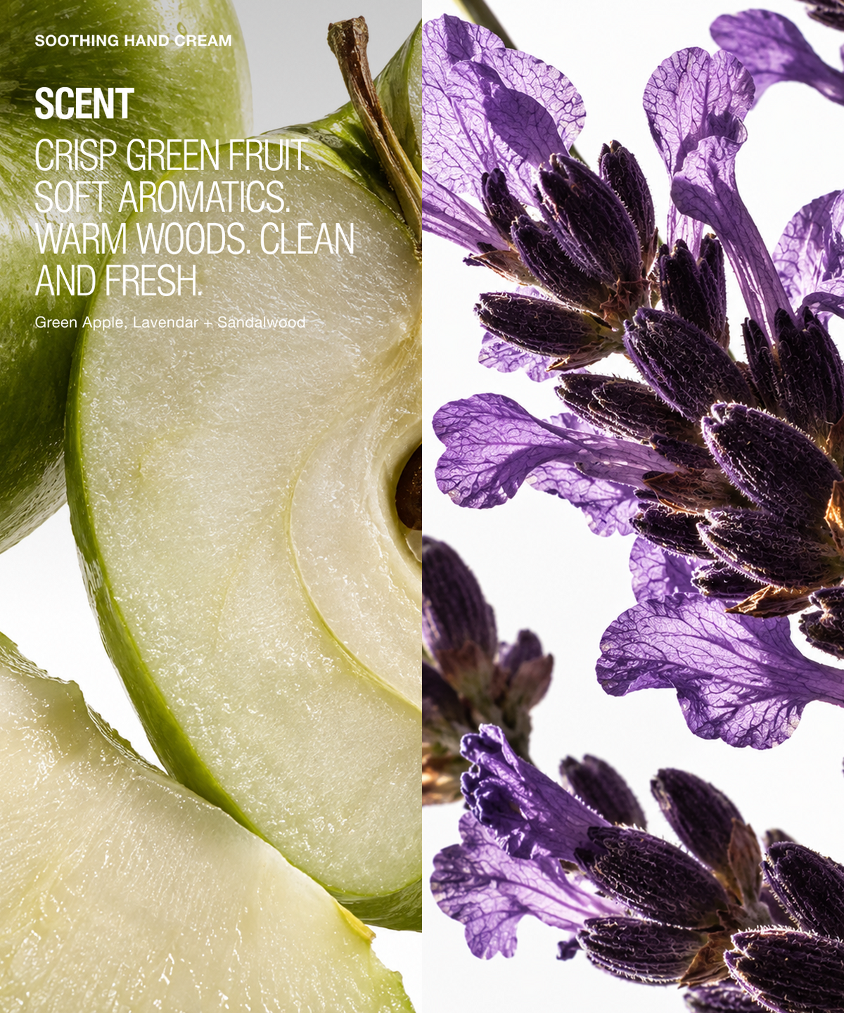 Scent concept graphic for a green apple and lavender hand dream, featuring a split screen with sliced green apple on the left and purple lavender flowers on the right, with text overlay reading 'SCENT CRISP GREEN FRUIT. SOFT AROMATICS.