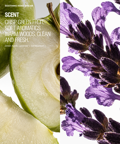 Scent concept graphic for a green apple and lavender hand dream, featuring a split screen with sliced green apple on the left and purple lavender flowers on the right, with text overlay reading 'SCENT CRISP GREEN FRUIT. SOFT AROMATICS.