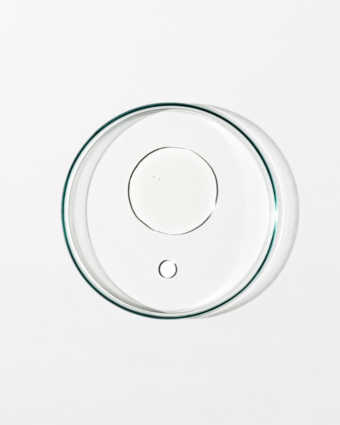 Clear glass lid on a white background