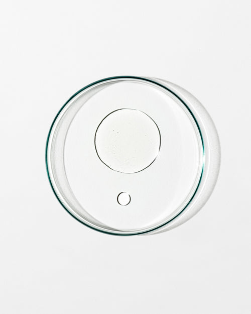 Clear glass lid on a white background