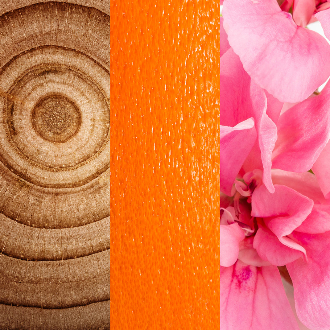 Three different textures or images side by side: wooden texture, orange textured surface, and pink floral close-up.