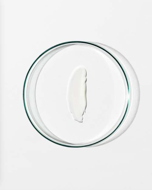 Clear glass lid on a white background