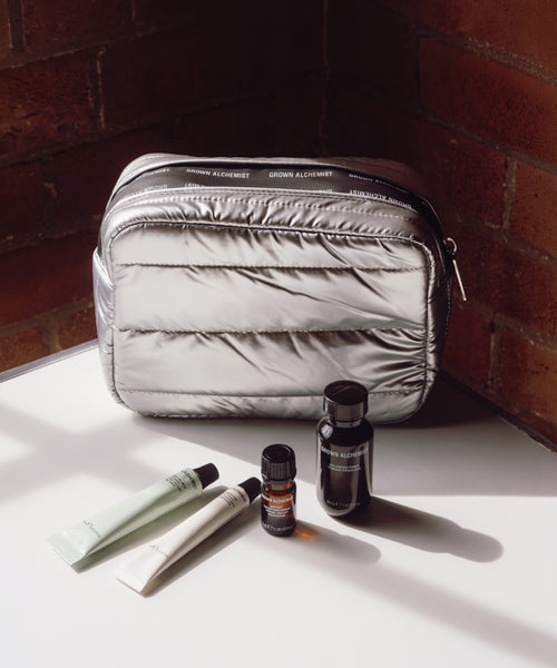 SILVER TOILETRY BAG