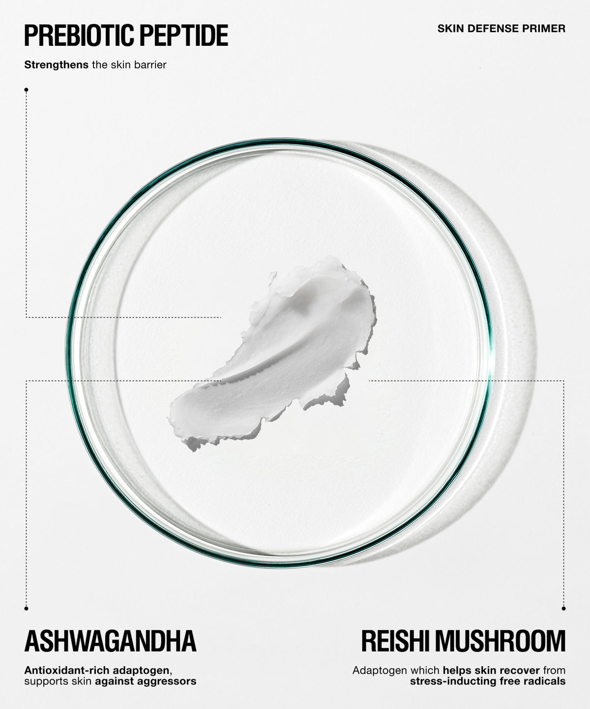 A clean, minimalist product graphic for a skincare primer. The central subject is a clear circular petri dish containing a white cream swatch with a dark green rim.