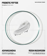A clean, minimalist product graphic for a skincare primer. The central subject is a clear circular petri dish containing a white cream swatch with a dark green rim.