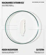 A skincare product presentation for 'Skin Renewal Day Cream' featuring a thick white cream swatch in the center of a clear glass petri dish, with text overlays highlighting key ingredients: Niacinamide (Vitamin B3), Reishi Mushroom, and Glycerin.