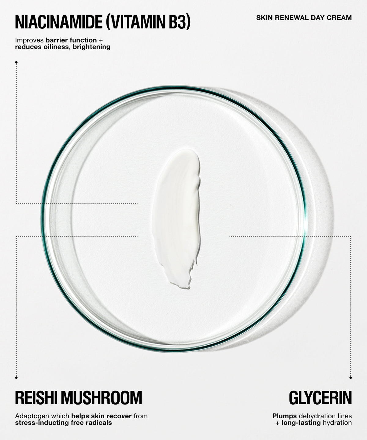A skincare product presentation for 'Skin Renewal Day Cream' featuring a thick white cream swatch in the center of a clear glass petri dish, with text overlays highlighting key ingredients: Niacinamide (Vitamin B3), Reishi Mushroom, and Glycerin.