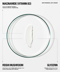 A skincare product presentation for 'Skin Renewal Day Cream' featuring a thick white cream swatch in the center of a clear glass petri dish, with text overlays highlighting key ingredients: Niacinamide (Vitamin B3), Reishi Mushroom, and Glycerin.