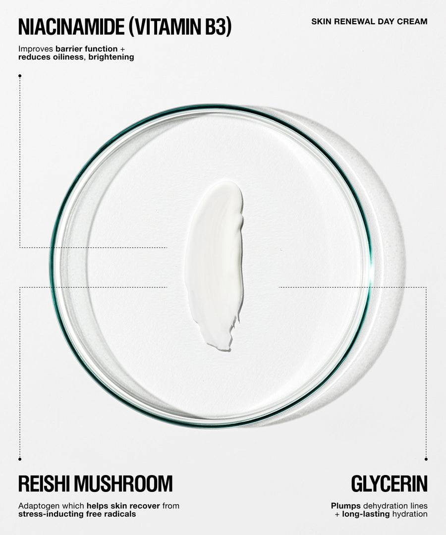 A skincare product presentation for 'Skin Renewal Day Cream' featuring a thick white cream swatch in the center of a clear glass petri dish, with text overlays highlighting key ingredients: Niacinamide (Vitamin B3), Reishi Mushroom, and Glycerin.