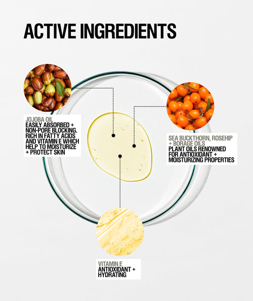 Skin Renewal Serum + Oil Bundle