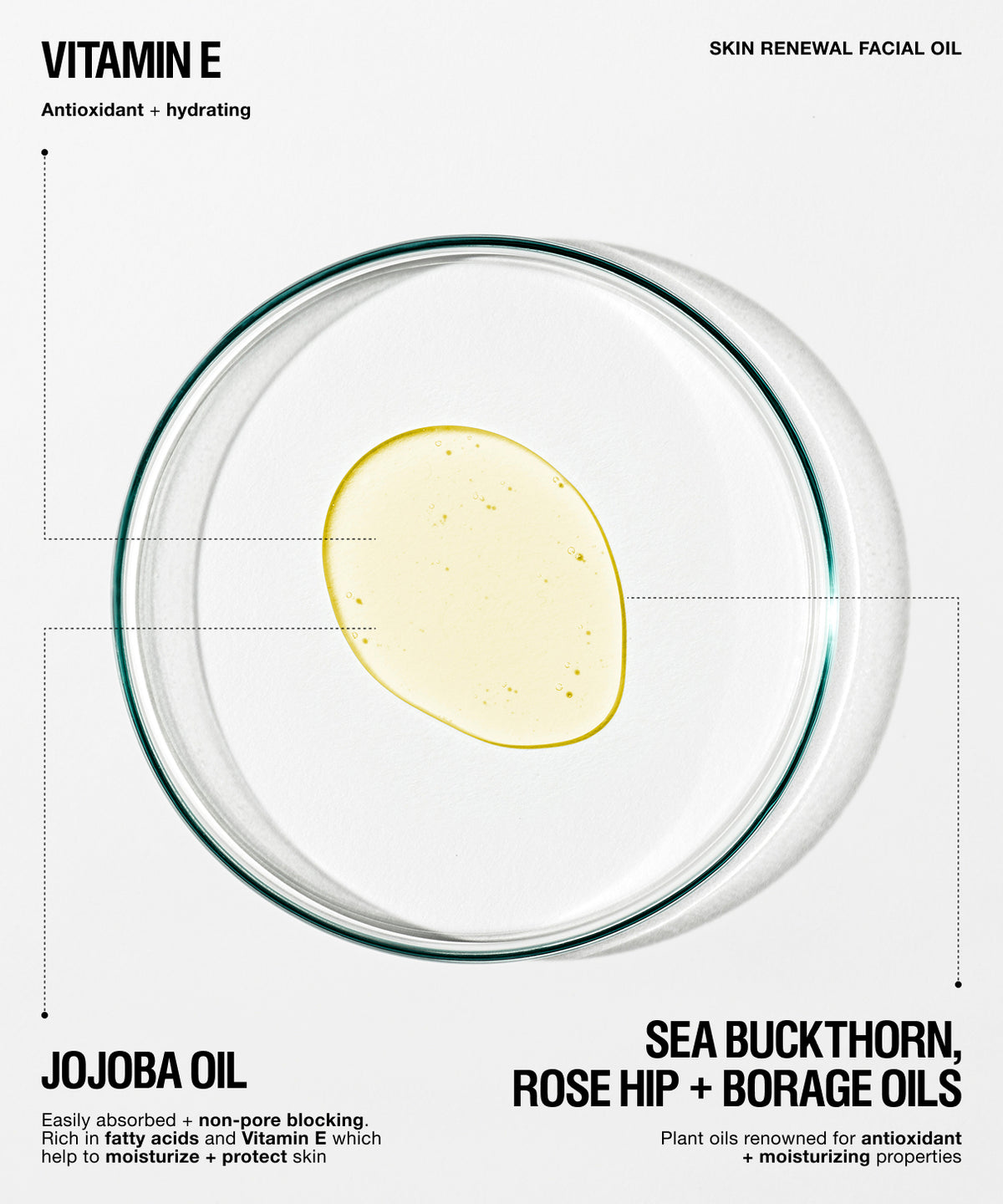 Facial oil product graphic showing a clear petri dish with a pale yellow oil droplet on a light gray background, with text reading 'VITAMIN E SKIN RENEWAL FACIAL OIL' and ingredient claims.